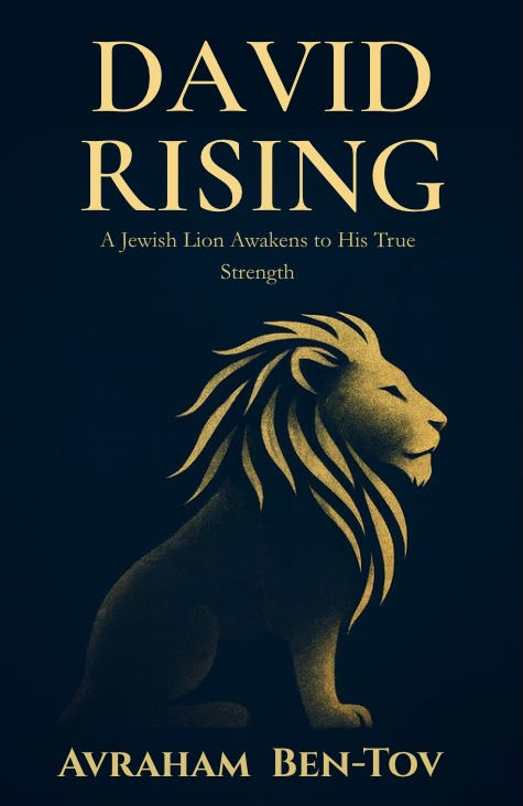 Cover of David Rising by Avraham Ben-Tov