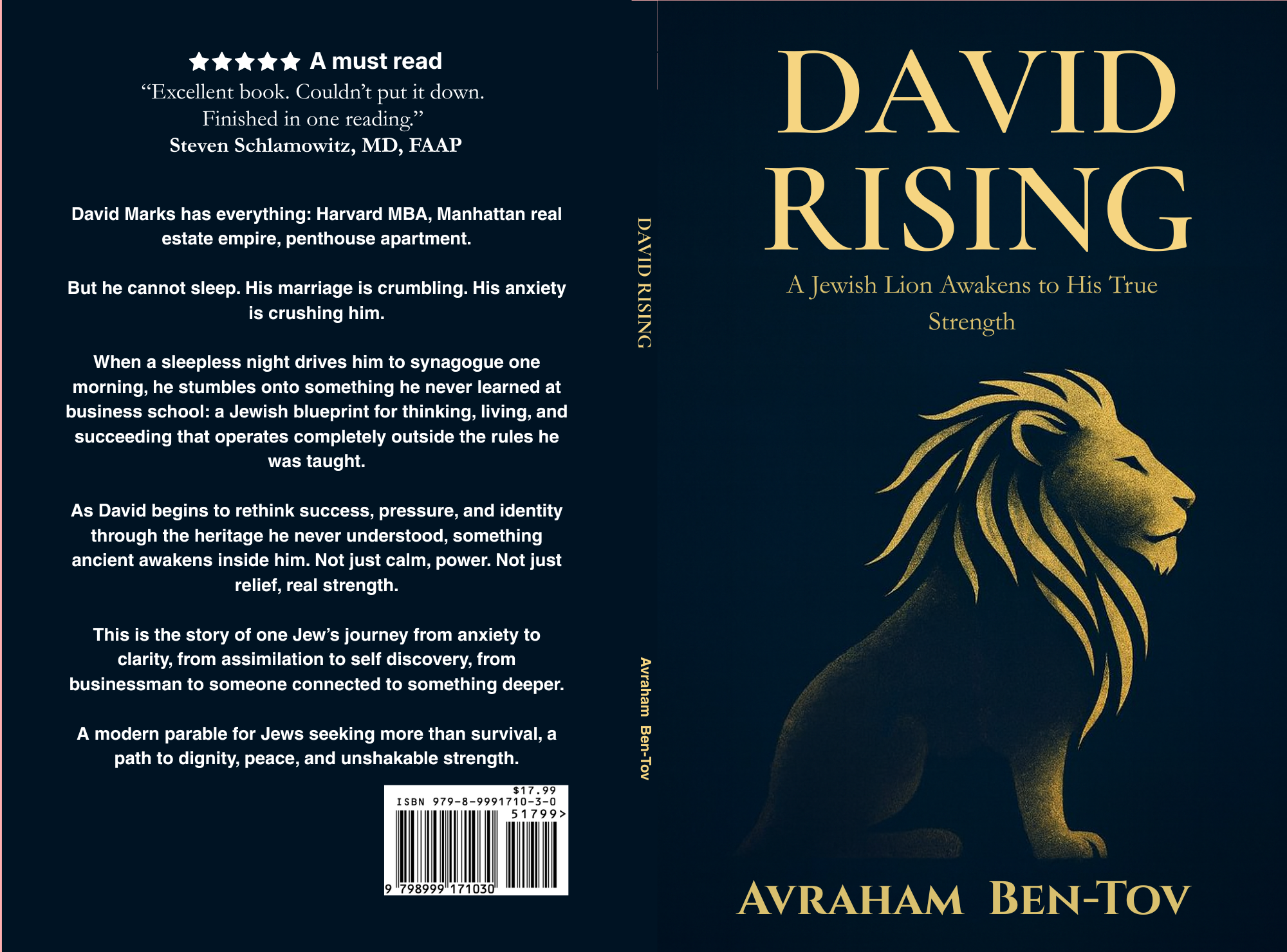 Front and back jacket of David Rising